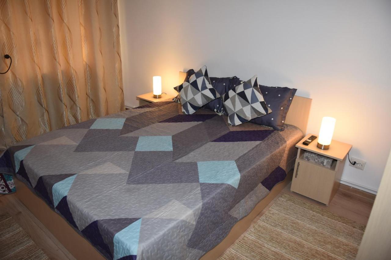 1St Apartment Nehoiu Buitenkant foto