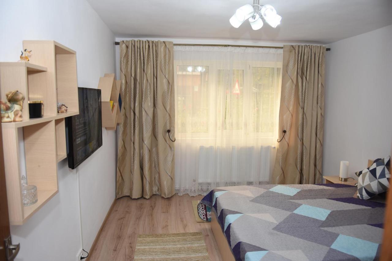 1St Apartment Nehoiu Buitenkant foto