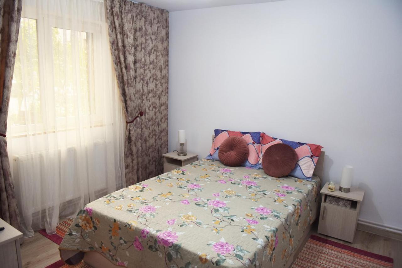 1St Apartment Nehoiu Buitenkant foto