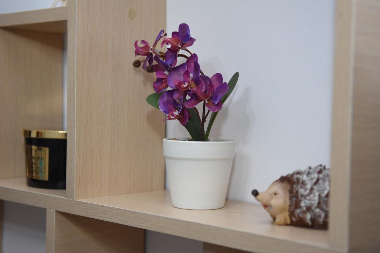 1St Apartment Nehoiu Buitenkant foto
