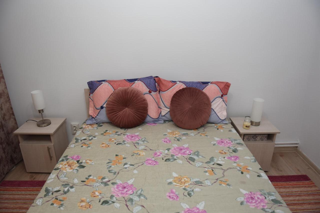 1St Apartment Nehoiu Buitenkant foto