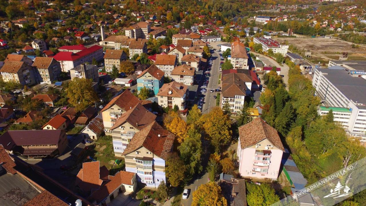 1St Apartment Nehoiu Buitenkant foto