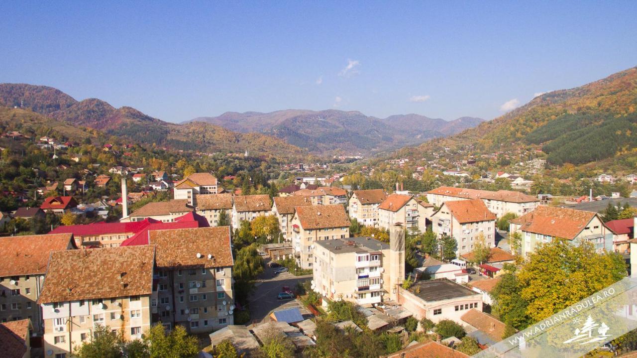 1St Apartment Nehoiu Buitenkant foto