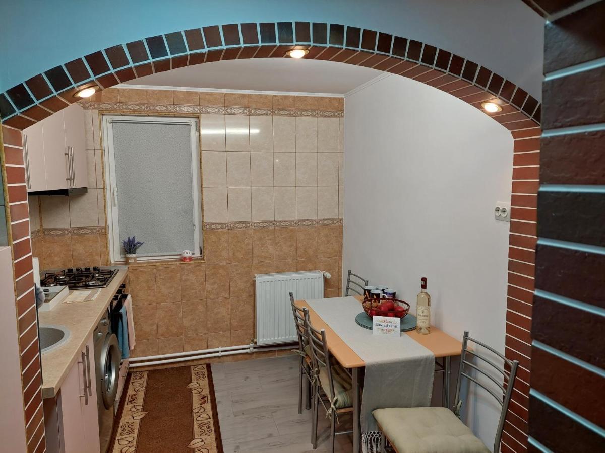 1St Apartment Nehoiu Buitenkant foto